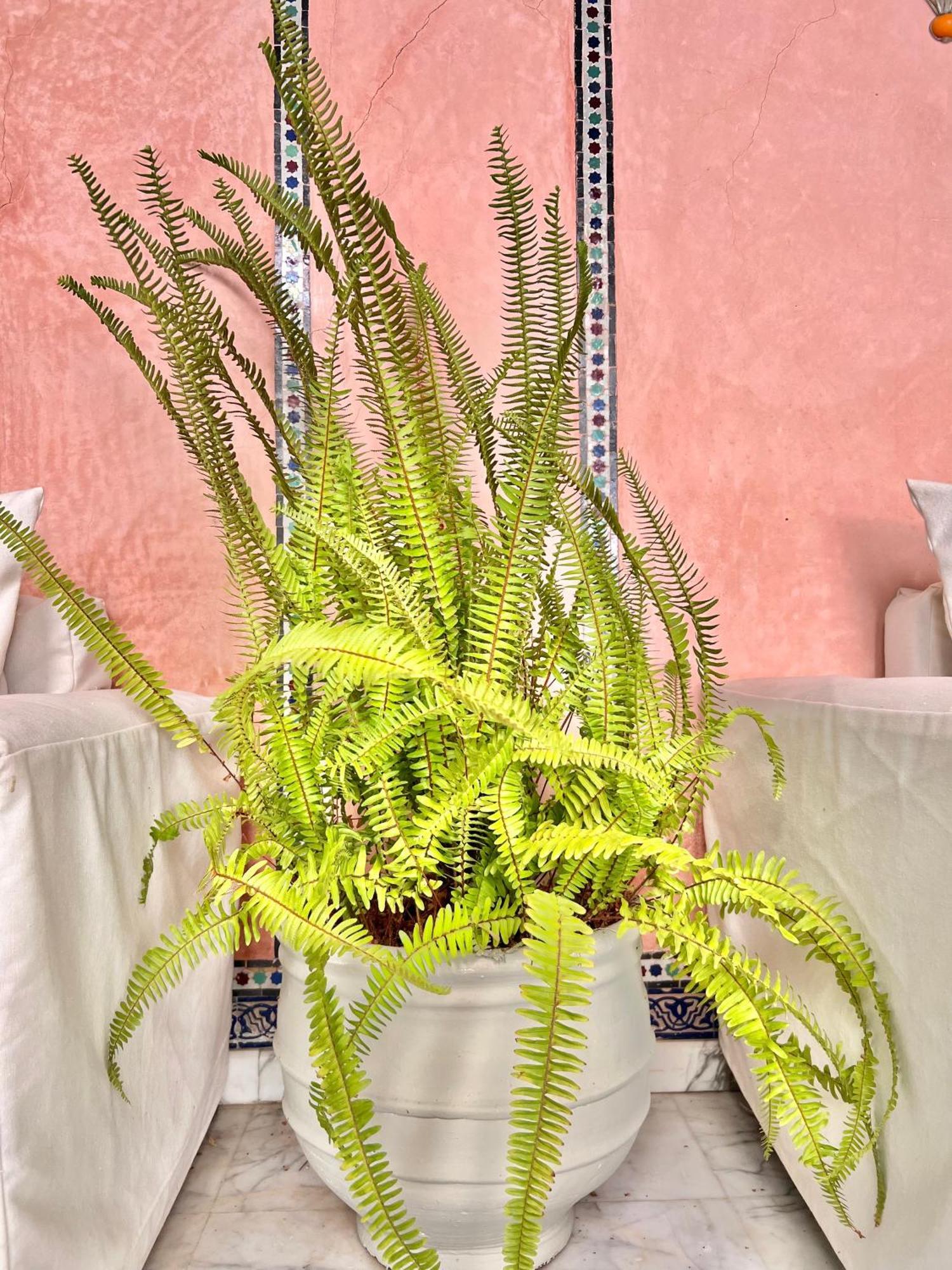 Riad Azad & Spa Marrakesh Luaran gambar
